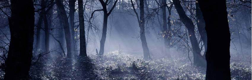 Chapelford Parish Hall header image - The Eyes Trilogy Website - They Grow Upon The Eyes - The Doom Of The Hollow - The Unforseen Children Of Olive Shipley - Author Pete Worrall